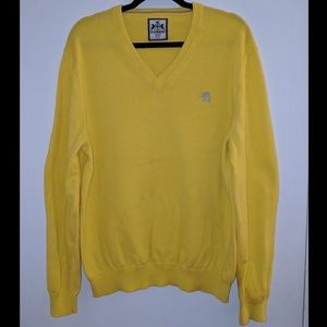 Express V-Neck Sweater